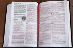 NIV, Thinline Bible, Large Print, Bonded Leather, Black, Red Letter, Comfort Pri