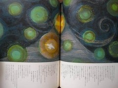 Kenji Miyazawa Elegy Art Collection Hardcover Rare Book 7.9in