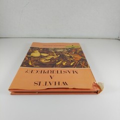 What Is A Masterpiece? Charlotte Willard 1964 G. P. Putnam’s Sons Illustr HCDJ