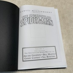 Spectacular Spider-Man Volume 1 Col #1-15 Marvel Masterworks HC Hard Cover