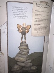 A Natural History of Fairies Emily Hawkins Jessica Roux Hardcover Illustrated