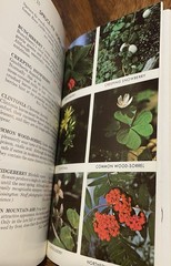 Easton Press Edible Wild Plants Of Eastern/Central North America 50th An Leather