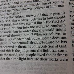 ESV MacArthur Drawing Near Devotional Bible TruTone Silver Gilt Page Edges 2013