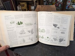 Original 1978 Reader’s Digest Illustrated Guide To Gardening 672 Pages