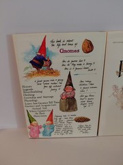 FAERIES Brian Froud Hardcover 1978 & 1979 Gnomes Huygen Illustrated Book Lot