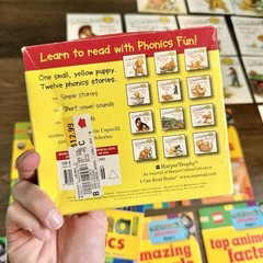 Large Lot Pre Reader & Phonics Book Lot Biscuit I Can Read LEGO Animal Phonics