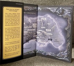 Onyx Storm Target Exclusive Edition by Rebecca Yarros Hardcover The Empyrean 🚚