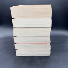 The Witcher 6‑Book Lot by Andrzej Sapkowski Trade Paperback Fantasy Set