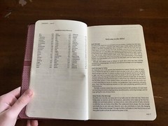 Tyndale Holy Bible New Living Translation Red Letter