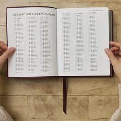 The Prayer Bible: Pray God’s Word Cover to Cover (NIV, Burgundy Leathersoft,…