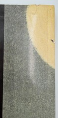 Yoshitoshi’s One Hundred Aspects of the Moon Woodblocks, 1st Ed., HC w/ DJ 1992