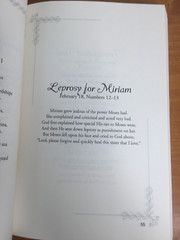 Christian Poetry Book A Year in Rhyme Signed by Author Henderson Paperback 2016