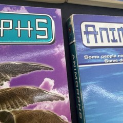 Animorphs Book Lot 7 K.A. Applegate #1 2 13 14 16 Megamorphs Scholastic