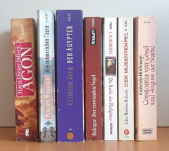BUCHPAKET+7 BÜCHER+FANTASY+GABRIELE HOFFMANN+JOHN MADDOX ROBERTS+TB+BUNDLE