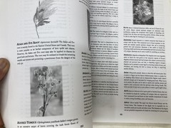 The Hoodoo Bible. The 7-in-1 Root Doctor’s Companion To Black Magic. Paperback