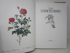 P. J. Redoute Redoute’s Roses 167 Full Page Paintings 1990