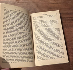 Maurice by E.M. Forster 1973 First Printing Signet Paperback LGBTQ+ Novel PB