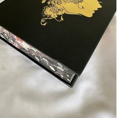 Shield Of Sparrows Devney Perry UK Deluxe Hardcover W/ Sprayed Edges