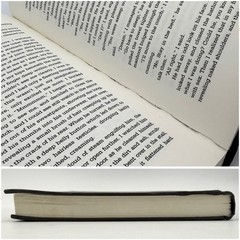 Literotica: The Very Best of literotica.com – edited by Lori Selke (BB, 2002)