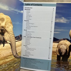 Wonders of God’s Creation By Eric Lyons Homeschool Science Supplement Book