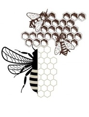 Save the HoneyBees coloring book 108 Pages 8.5 x 11 for All Ages