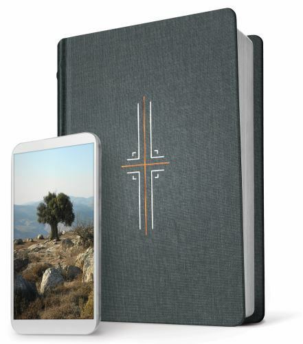 Tyndale NLT Filament Bible (Hardcover Cloth, Gray): Premium Bible with Access ..