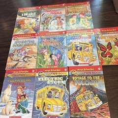 The Magic School Bus Chapter Book Lot Of 10. #5,8-16