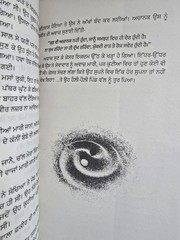 Chaali Din by Gurpreet Singh Dhugga | Punjabi Novel | Bestseller Literature
