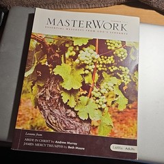 LifeWay MasterWork Adult Bible Study Paperback Various Lessons & Authors 2009