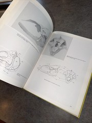 Santana Fossils: An Illustrated Atlas By Maisey Hardcover Cretaceous Fish Plants