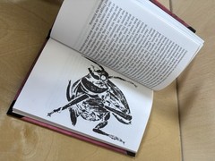Franz Kafka Die Verwandlung – Vitalis Edition 1996 80-901370-4-0 (in German)