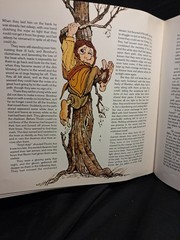 The Hobbit Illustrated First Edition J.R.R. Tolkien Rankin/Bass 1977