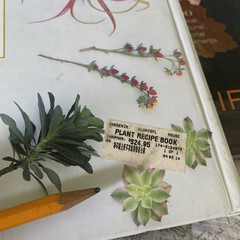 Set/2 The Flower Recipe Book The Plant Recipe 100 Floral Seasonal Arrangements