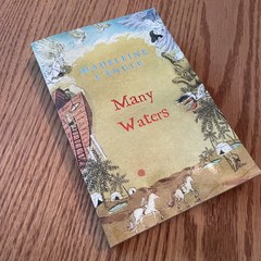 A Wrinkle in Time Series – Madeleine L’Engle