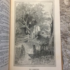 The Cambridge Book of Poetry and Song Bates 1887 Illustrated Poetry Book