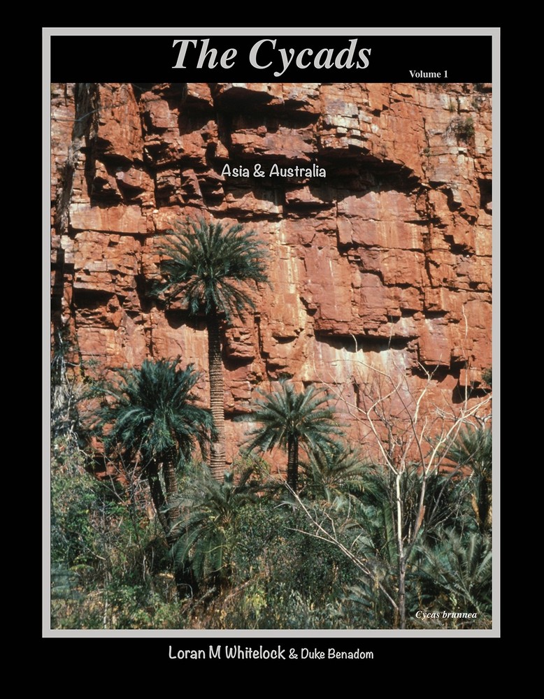 The Cycads — Asia & Australia