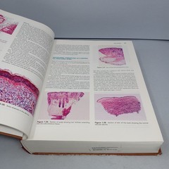 Histology for Pathologists: 3rd Edition 2007 Hardcover by Stacey E. Mills