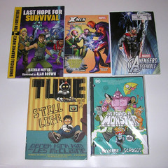 Lot 16 Graphic Novels for Kids BOYS Interest: DC Marvel Amulet Wings of Fire
