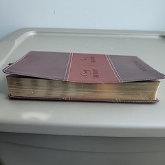Biblia Reina Valera Revisada RVR Bilingual Bible NKJV Gold Leather NELSON
