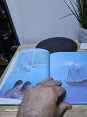 The Eruption of Krakatoa by Rupert Matthews 1989 Hardcover – Great Disasters