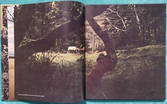 The Northwest Coast The American Wilderness 1973 Time-Life Hardcover 184 Pages