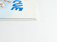Duck To The Rescue John Himmelman Hardcover Book With Dust Jacket Kids Book