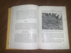Insects And Their Control By Andrew Wilson 2nd Printing 1931 Horticulture Nature