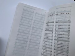 Bible ESV Daily Reading Green Gray Brand New