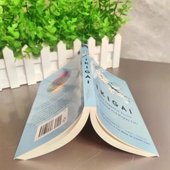 The Japanese Secret Philosophy For A Happy Healthy By Hector Garcia Book Rebuild