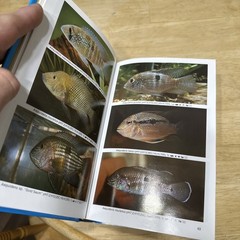 Dr Axelrods Mini Atlas of Freshwater Aquarium Fishes by Dr. Axelrod, Herbert R