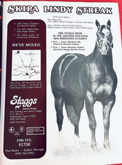 SALE ENDS 6/15! 1986 QUARTER HORSE JOURNAL Book – DYNAMIC DELUXE, ZAN PARR BAR