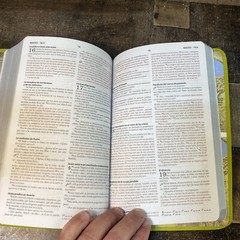Biblia de referencia visual verde limon/ Visual Reference Bible Lime Green: NBD