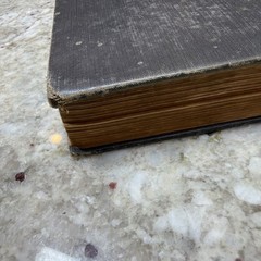 The Ancient World From The Earliest Times to 800 AD by Willis Mason West