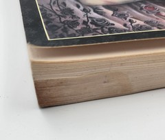 Phantasmagoria By Ian Daniels The Tarot Of Vampyres Guidebook Paperback w/ Cards